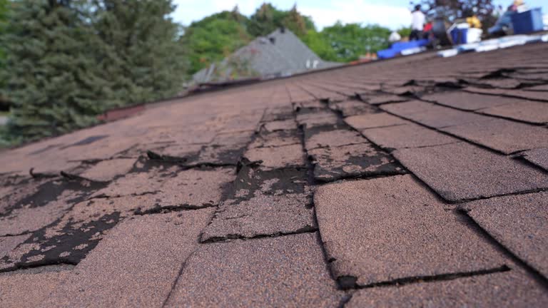 Best Cold Roofs  in Vienna, VA